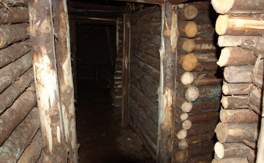 11_Partizanų žeminės (2). Autorė N. Ribokaitė.jpg